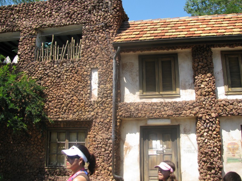 Animal Kingdom 050.jpg